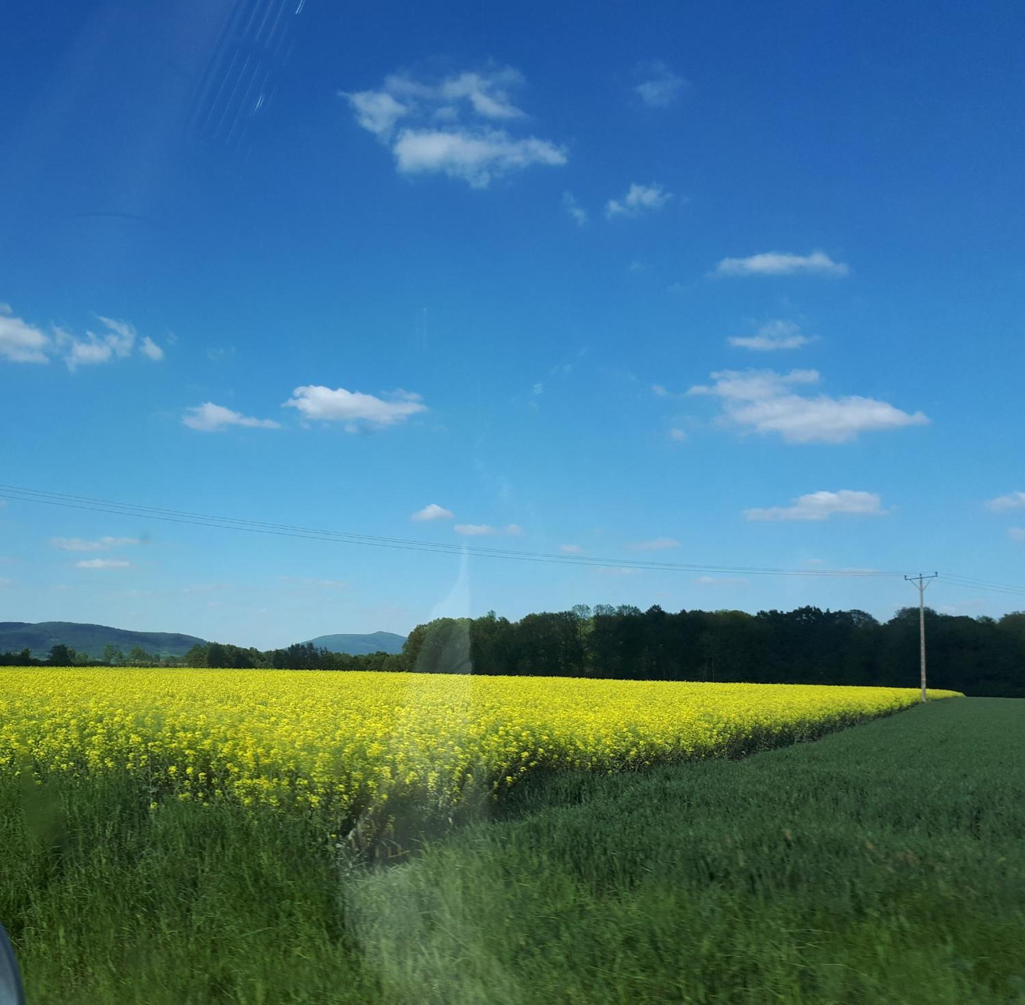 Agroturystyka "Jagap" Oaza Spokoju Dzierżoniów Dış mekan fotoğraf