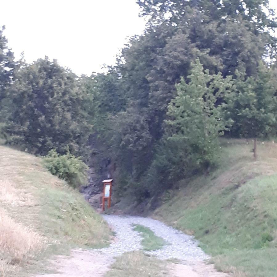 Agroturystyka "Jagap" Oaza Spokoju Dzierżoniów Dış mekan fotoğraf