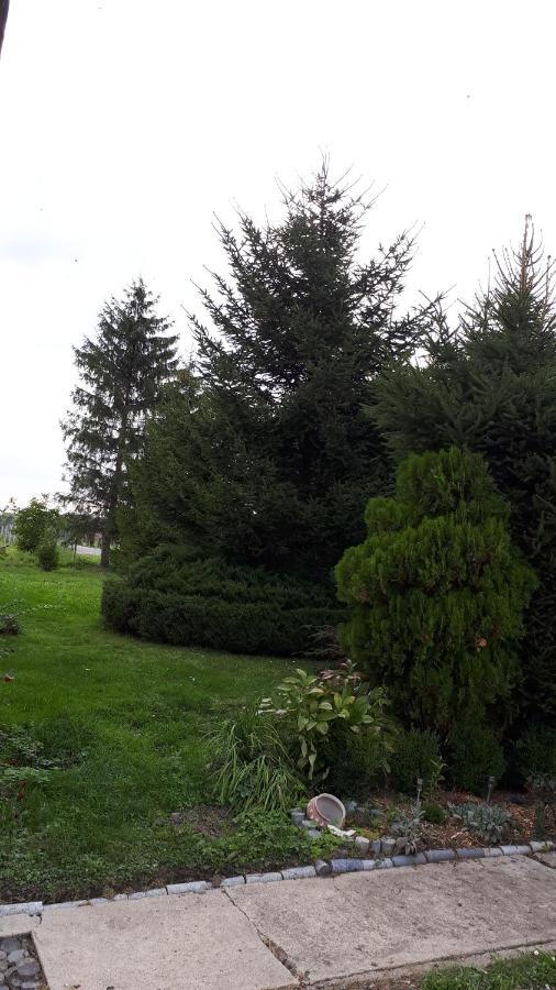 Agroturystyka "Jagap" Oaza Spokoju Dzierżoniów Dış mekan fotoğraf